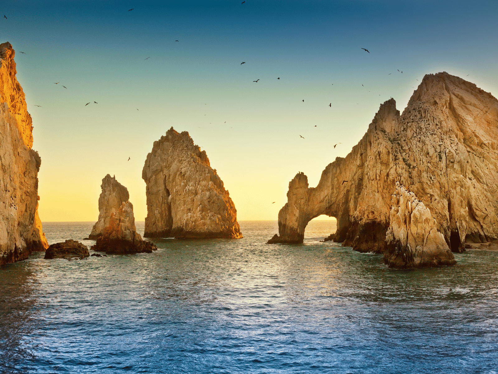 Los Cabos
