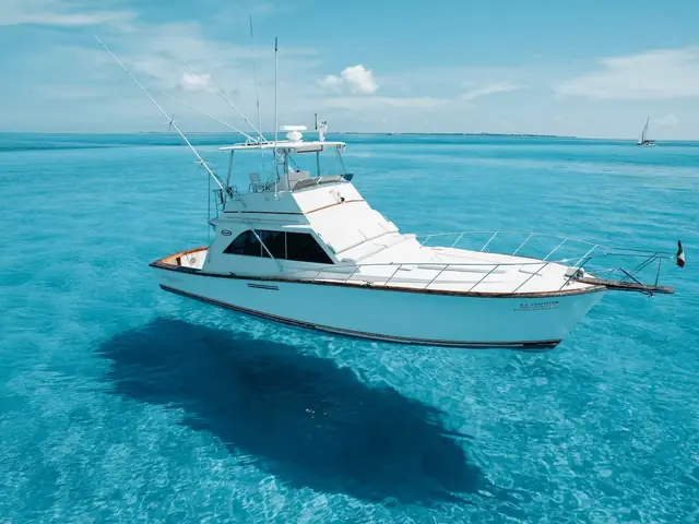 Ocean 55 ft